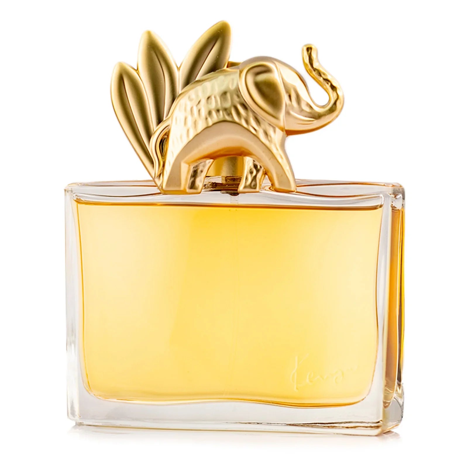 Jungle EDP