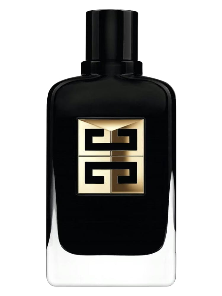 Gentleman Society Ambree