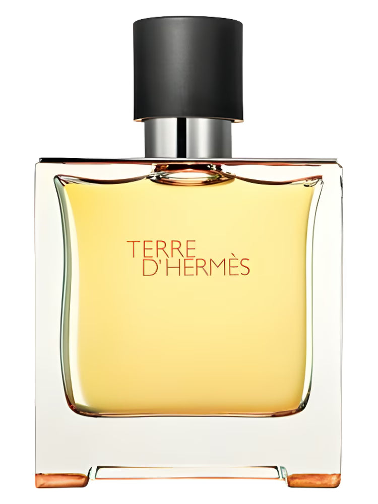 Terre EDP