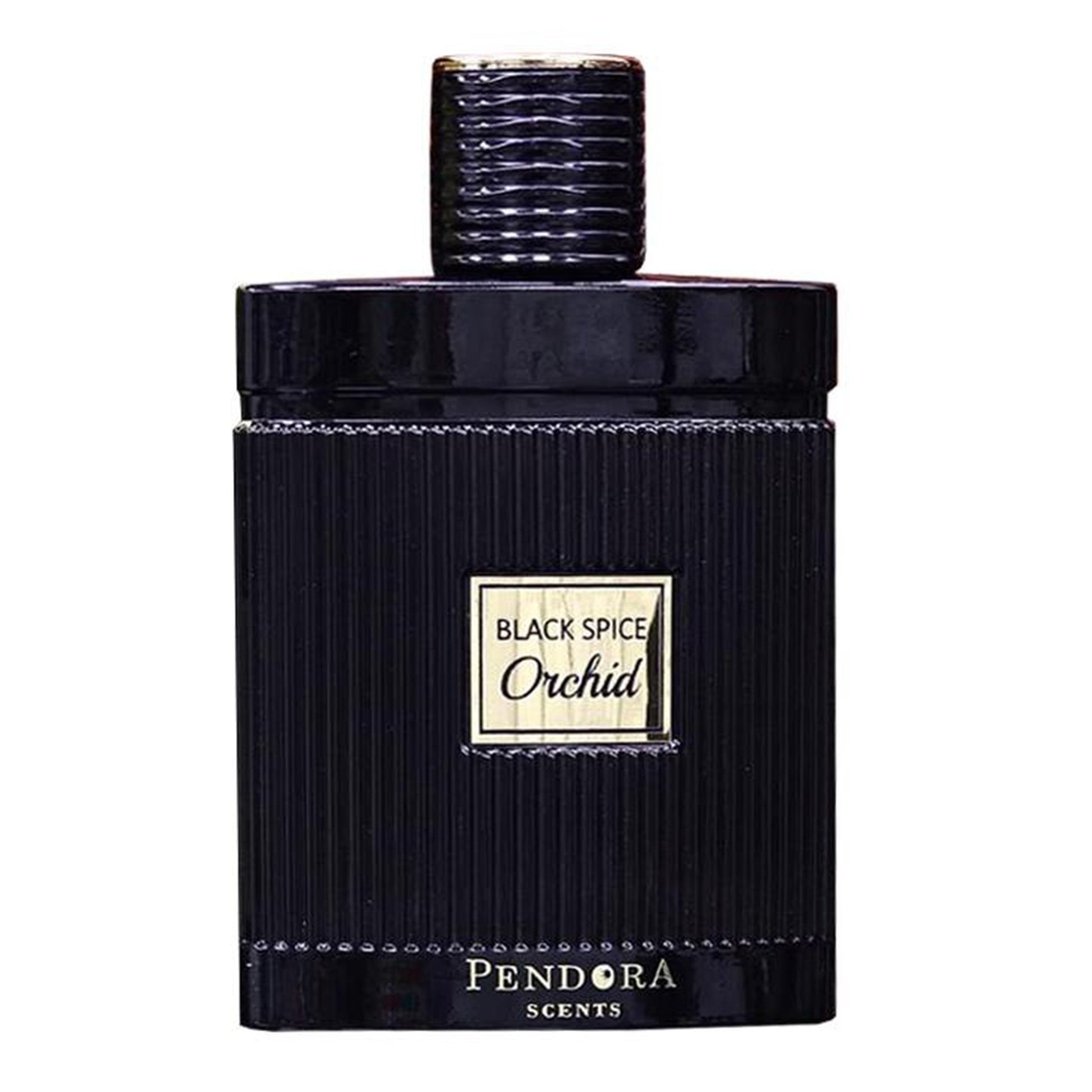 Black Spice Orchid