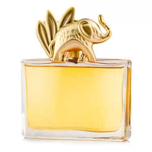 Jungle 100ml