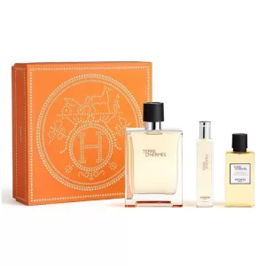 Terre 100ml.15ml.40sg SET