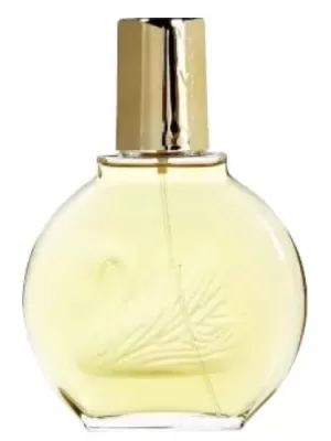 Vanderbilt 100ml