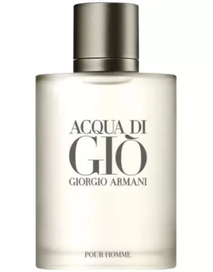 Acqua Di Gio 100ml