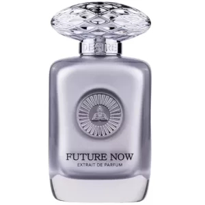Future Now 100ml