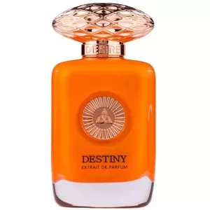 Destiny 100ml