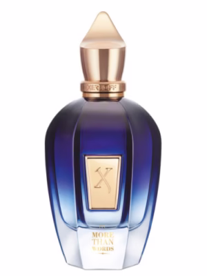 More Than Words 100ml